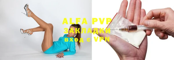 индика Алексин