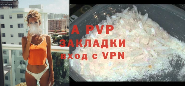 индика Алексин