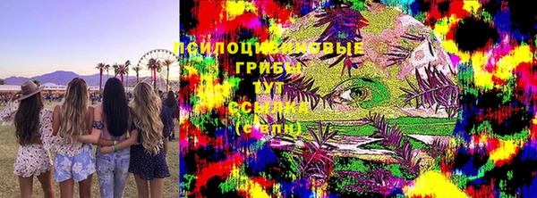 индика Алексин